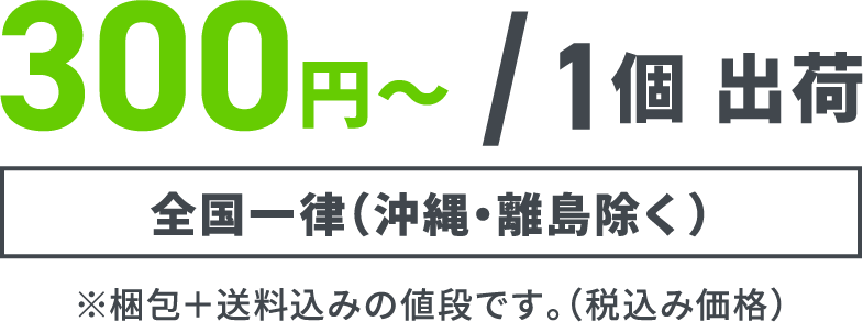 300円～/1個出荷　全国一律（沖縄・離島除く）※梱包＋送料込みの値段です。（税込み価格）